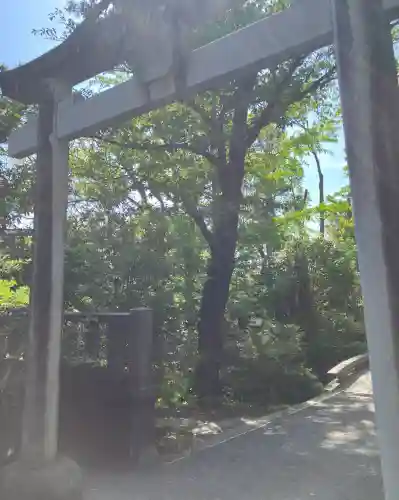 宮山神社の{uncategorized: "未分類", other: "その他", undefined: "問題あり", building: "その他建物", grave: "お墓", sacred_gate: "鳥居", guardian: "狛犬", statue: "像", buddha: "仏像", history: "歴史", nature: "自然", garden: "庭園", animal: "動物", pagoda: "塔", temizu: "手水舎", mountain_gate: "山門・神門", sanctuary: "本殿・本堂", subordinate: "末社・摂社", art: "芸術", scenery: "景色", jizo: "地蔵", ema: "絵馬", goshuin: "御朱印", omikuji: "おみくじ", items: "授与品その他", amulet: "お守り", goshuincho: "御朱印帳", eats: "食事", festival: "お祭り", votive_dance: "神楽", shichigosan: "七五三参", wedding: "結婚式", experience: "体験その他", initially: "初詣", around: "周辺", anti_infection: "感染症対策"}