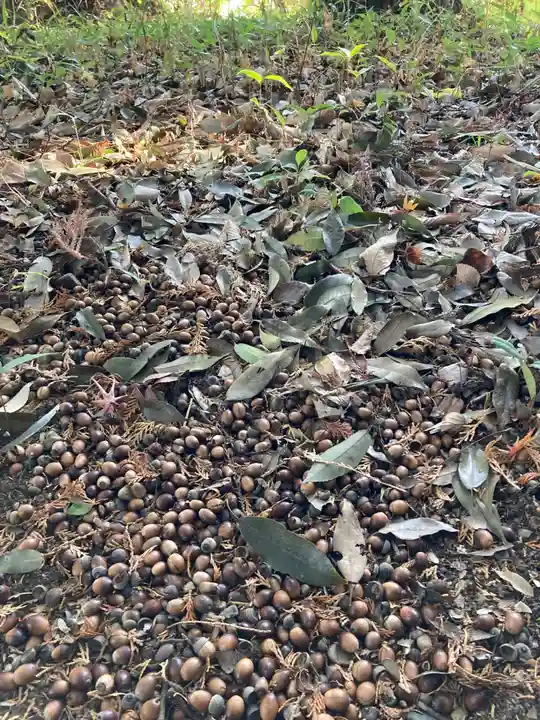楯縫神社(茨城県)