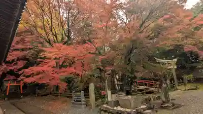 宝積寺(京都府)