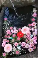 大鏑神社の手水舎