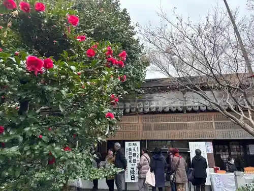 泉増院(愛知県)