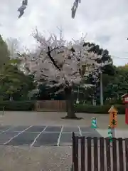 鷲宮神社の庭園
