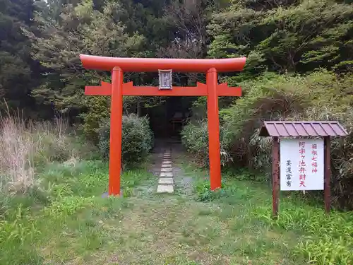 阿字ヶ池弁財天の鳥居