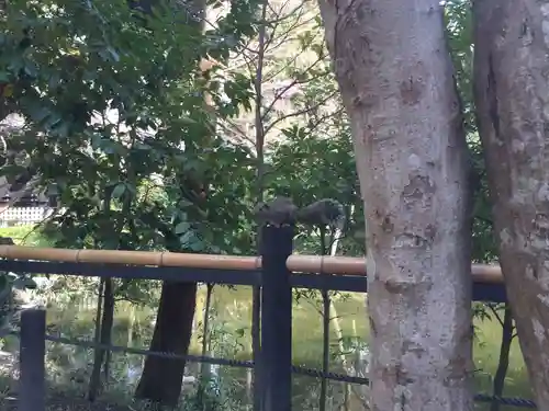 鶴岡八幡宮(神奈川県)