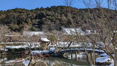 禅林寺（永観堂）(京都府)