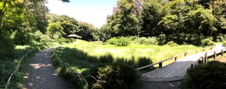 明治神宮の庭園