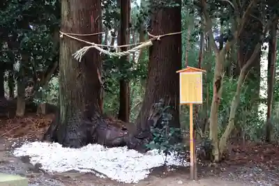 中村神社の自然