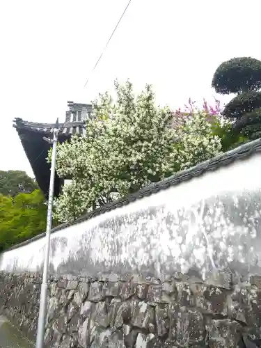 阿智神社の周辺