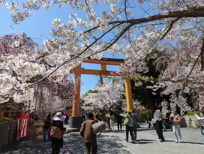 平野神社(京都府)