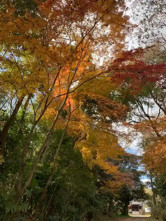 妙経寺(千葉県)