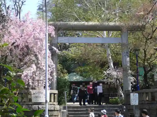 五條天神社の鳥居