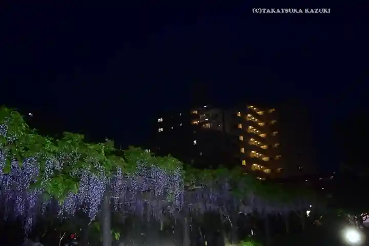 亀戸天神社(東京都)