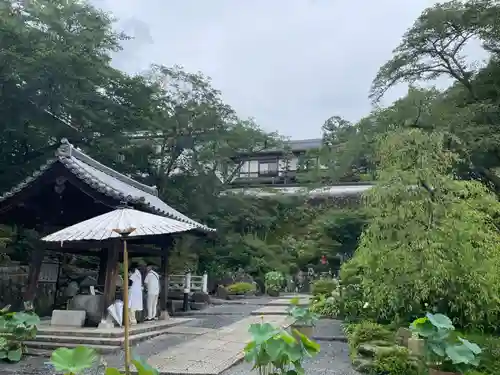 岡寺（龍蓋寺）(奈良県)