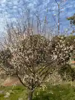 宮原神社の自然