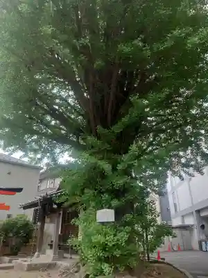 稼穡稲荷社の{uncategorized: "未分類", other: "その他", undefined: "問題あり", building: "その他建物", grave: "お墓", sacred_gate: "鳥居", guardian: "狛犬", statue: "像", buddha: "仏像", history: "歴史", nature: "自然", garden: "庭園", animal: "動物", pagoda: "塔", temizu: "手水舎", mountain_gate: "山門・神門", sanctuary: "本殿・本堂", subordinate: "末社・摂社", art: "芸術", scenery: "景色", jizo: "地蔵", ema: "絵馬", goshuin: "御朱印", omikuji: "おみくじ", items: "授与品その他", amulet: "お守り", goshuincho: "御朱印帳", eats: "食事", festival: "お祭り", votive_dance: "神楽", shichigosan: "七五三参", wedding: "結婚式", experience: "体験その他", initially: "初詣", around: "周辺", anti_infection: "感染症対策"}