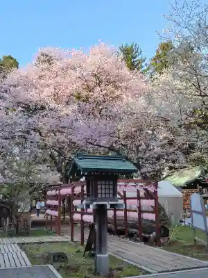 駒形神社の{uncategorized: "未分類", other: "その他", undefined: "問題あり", building: "その他建物", grave: "お墓", sacred_gate: "鳥居", guardian: "狛犬", statue: "像", buddha: "仏像", history: "歴史", nature: "自然", garden: "庭園", animal: "動物", pagoda: "塔", temizu: "手水舎", mountain_gate: "山門・神門", sanctuary: "本殿・本堂", subordinate: "末社・摂社", art: "芸術", scenery: "景色", jizo: "地蔵", ema: "絵馬", goshuin: "御朱印", omikuji: "おみくじ", items: "授与品その他", amulet: "お守り", goshuincho: "御朱印帳", eats: "食事", festival: "お祭り", votive_dance: "神楽", shichigosan: "七五三参", wedding: "結婚式", experience: "体験その他", initially: "初詣", around: "周辺", anti_infection: "感染症対策"}