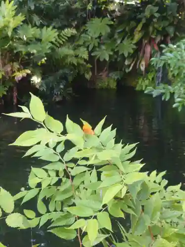 杵築大社(東京都)