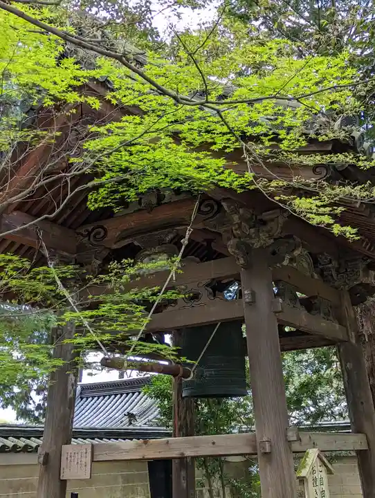 青蓮院門跡(京都府)