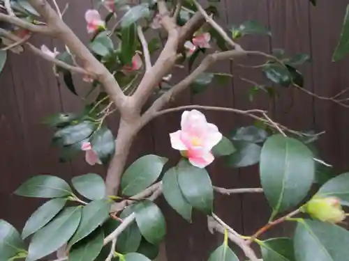 大光院(京都府)