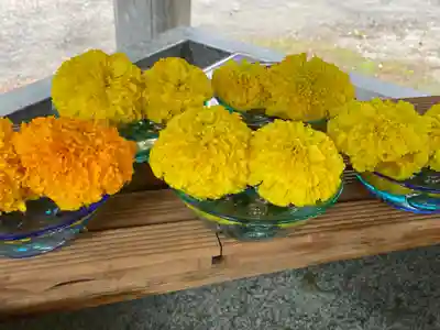 網走神社(北海道)