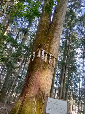 岩戸別神社(栃木県)
