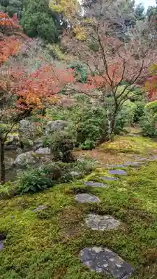 実相院門跡(京都府)