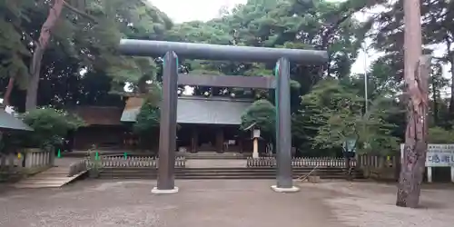 埼玉縣護國神社の鳥居