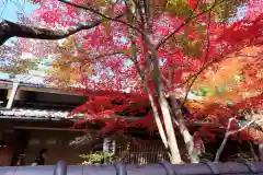 勝持寺（花の寺）(京都府)