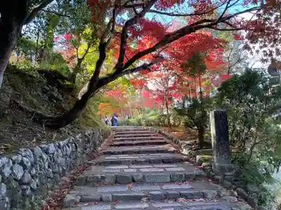 化野念仏寺(京都府)