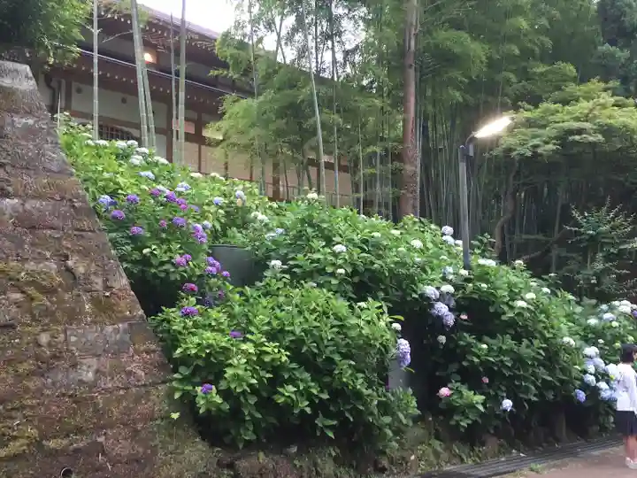 円覚寺(神奈川県)