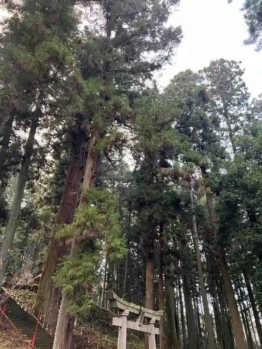 大宮温泉神社の自然