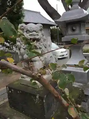 八幡大神の狛犬