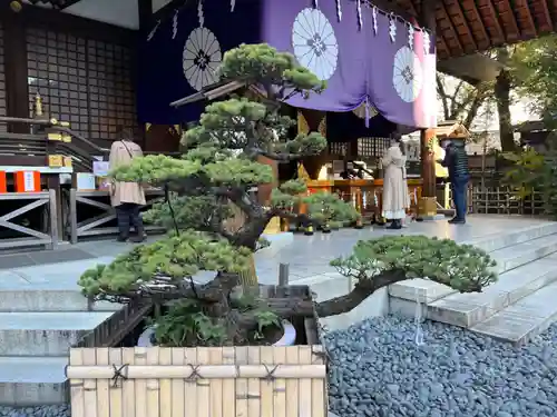 東京大神宮の庭園