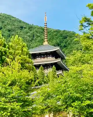清大寺(越前大仏)のその他建物
