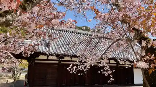 金剛寺(大阪府)