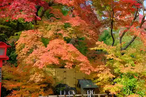 鍬山神社の自然