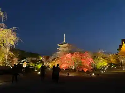 東寺（教王護国寺）(京都府)