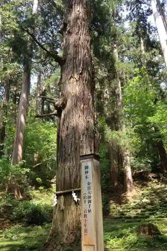 平泉寺白山神社(福井県)
