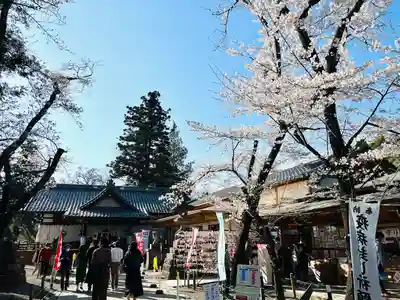 眞田神社(長野県)