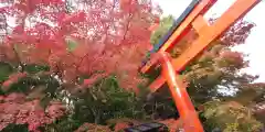 賀茂御祖神社（下鴨神社）の鳥居