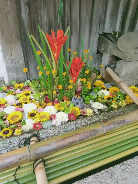 北野天満宮の手水舎