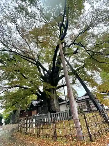 神明宮(石川県)