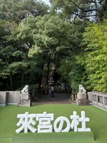 來宮神社(静岡県)