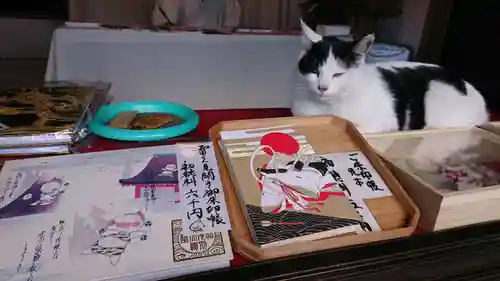 賀茂別雷神社の動物