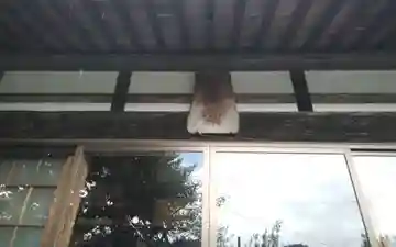 本竜寺(静岡県)