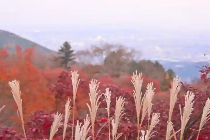 大山阿夫利神社(神奈川県)