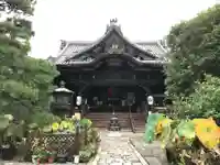 行願寺(革堂)の本殿・本堂