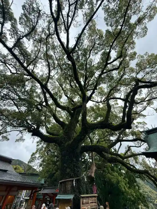 熊野那智大社の{uncategorized: "未分類", other: "その他", undefined: "問題あり", building: "その他建物", grave: "お墓", sacred_gate: "鳥居", guardian: "狛犬", statue: "像", buddha: "仏像", history: "歴史", nature: "自然", garden: "庭園", animal: "動物", pagoda: "塔", temizu: "手水舎", mountain_gate: "山門・神門", sanctuary: "本殿・本堂", subordinate: "末社・摂社", art: "芸術", scenery: "景色", jizo: "地蔵", ema: "絵馬", goshuin: "御朱印", omikuji: "おみくじ", items: "授与品その他", amulet: "お守り", goshuincho: "御朱印帳", eats: "食事", festival: "お祭り", votive_dance: "神楽", shichigosan: "七五三参", wedding: "結婚式", experience: "体験その他", initially: "初詣", around: "周辺", anti_infection: "感染症対策"}