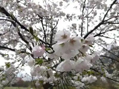 高善寺(福井県)