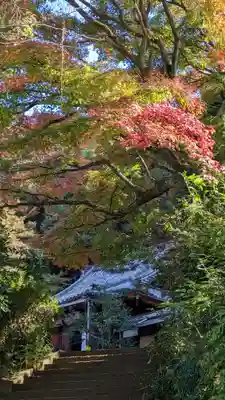 尊勝院(京都府)
